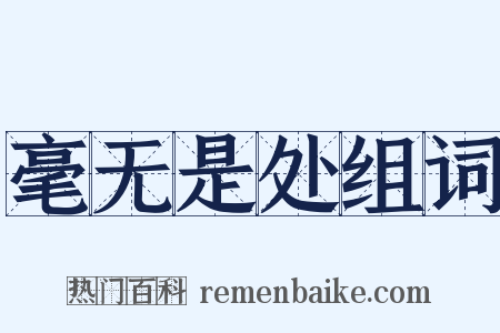 毫无是处组词是什么意思的图片